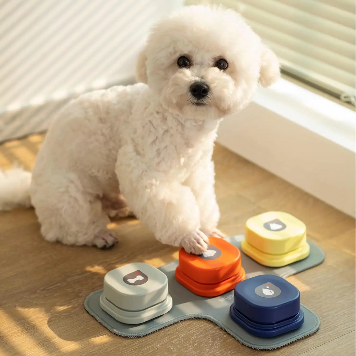 Recordable Dog Talking Buttons Set