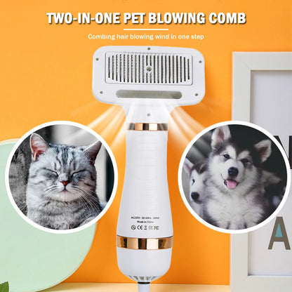2 in 1 Portable Low Noise Hair Dryer Comb