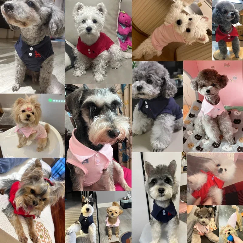 Summer Polo T-Shirt Dog Clothes