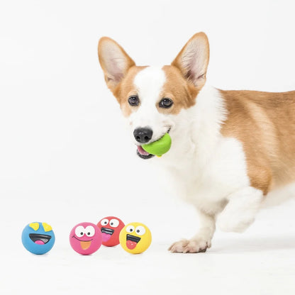 5 Pack Emoticon Latex Dog Toy