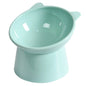 Tilted Food Bowl- Elevated Raised Dog Bowl Non Slip