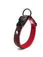 Dog Collar Nylon Adjustable