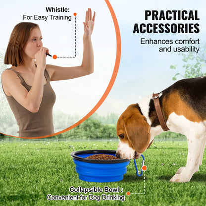 Dog Agility Training Equipment 4 PCS Set