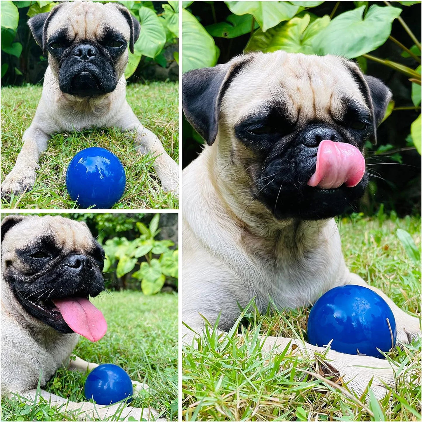 Super Chewy Tough Dog Ball