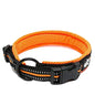 Dog Collar Nylon Adjustable