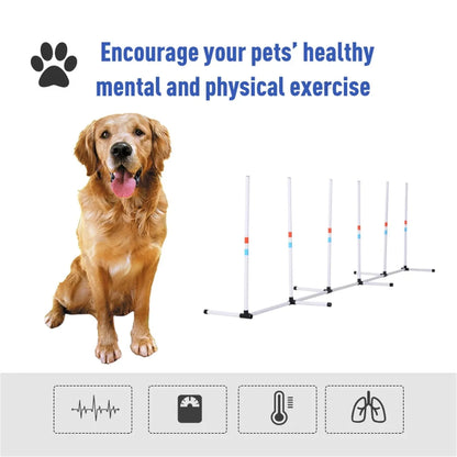 Dog Outdoor Exercise Training Set