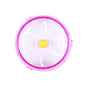 Round Silent Cage Exercise Wheel