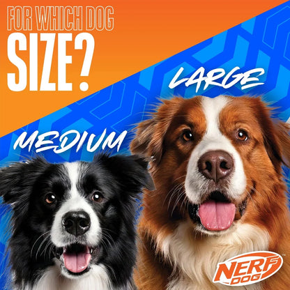 Durable 10 Inch TPR Flyer Dogs Toy