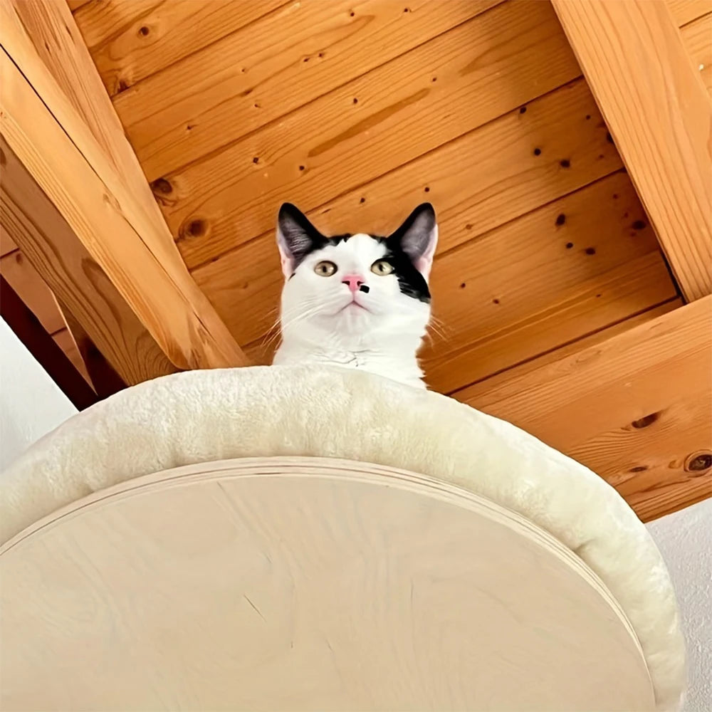 Cat Wall Mounted Solid Wooden Furniture Climbing Ladder and Cat Hammock