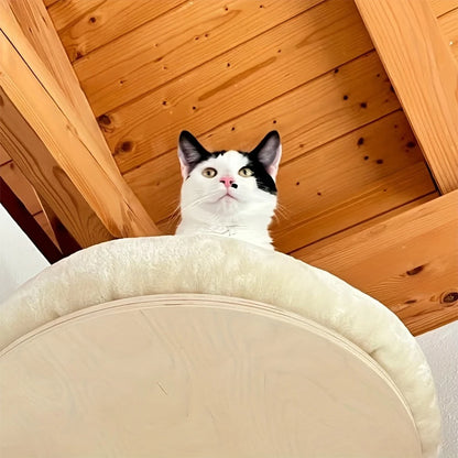 Cat Wall Mounted Solid Wooden Furniture Climbing Ladder and Cat Hammock