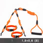 Small Nylon Double lead leash