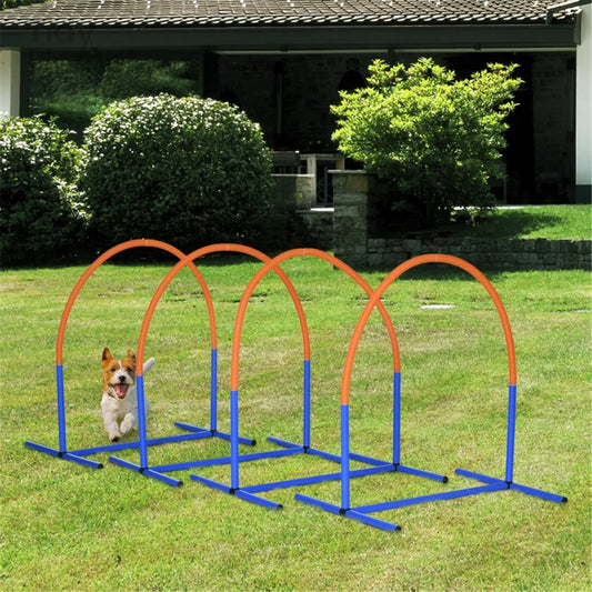 Dog Outdoor Exercise Training Set