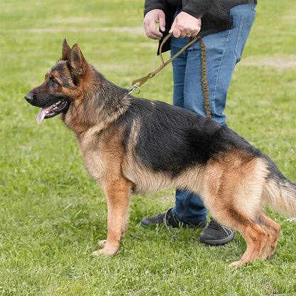 Military Adjustable Leash Quick Release
