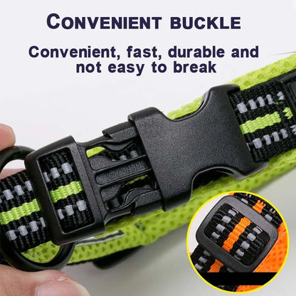 Padded Dog Walking Collar