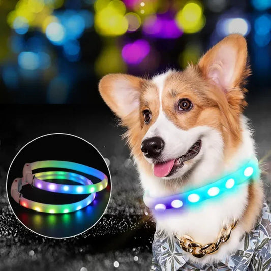LED Pet Collar Durable Luminous Necklace With Flashing Lights