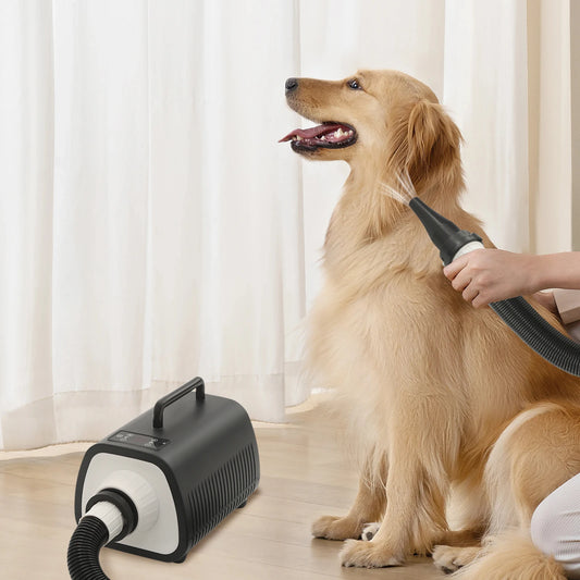 2100W Dog Grooming Blow Dryer