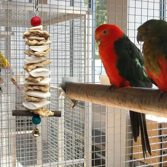Hanging Chew Toy With Natural Loofah