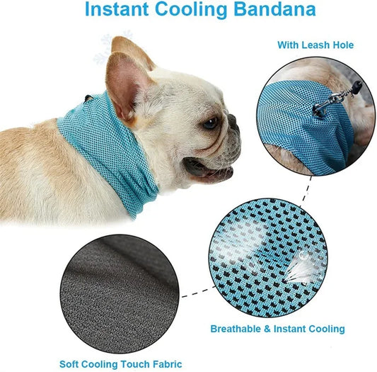 Reusable Instant Cooling Bandana with Leash Hole