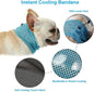 Reusable Instant Cooling Bandana with Leash Hole