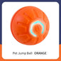 Electronic Interactive Smart Ball Dog Toy