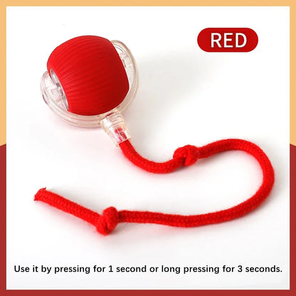 Electronic Interactive Smart Ball Dog Toy