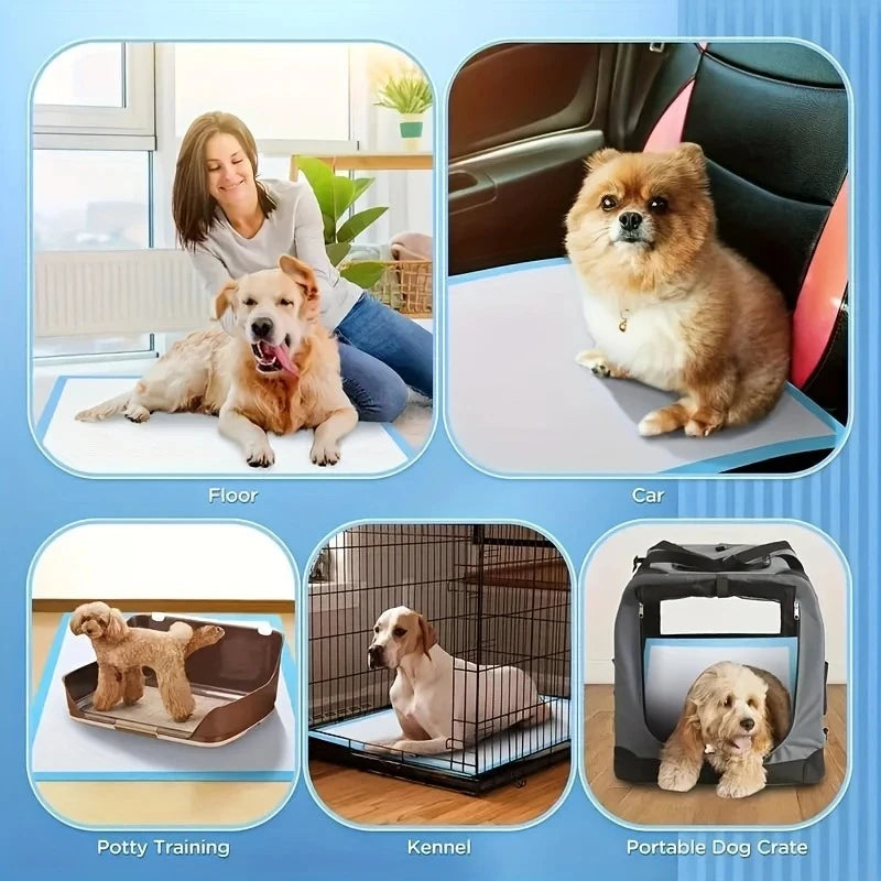 Potty Training Absorbent Puppy Pads