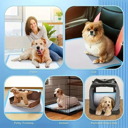 Potty Training Absorbent Puppy Pads