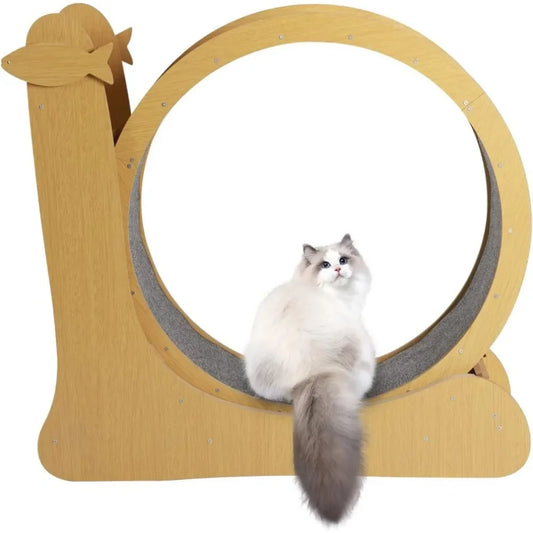 Kitten Running Wheel Treadmill