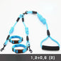 Small Nylon Double lead leash
