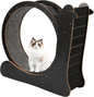 Kitten Running Wheel Treadmill