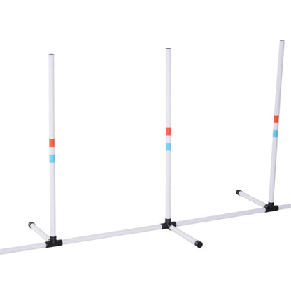 Dog Outdoor Exercise Training Set