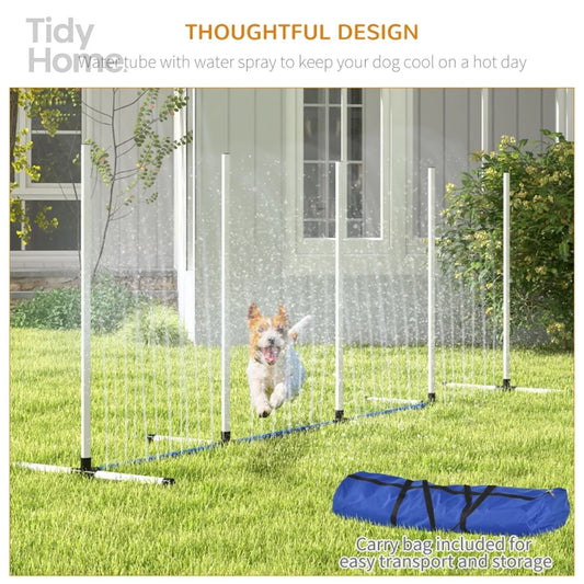 Outdoor Exercise Training Set For Dogs