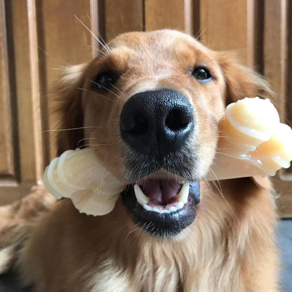 Durable Power Dog Chew Toy