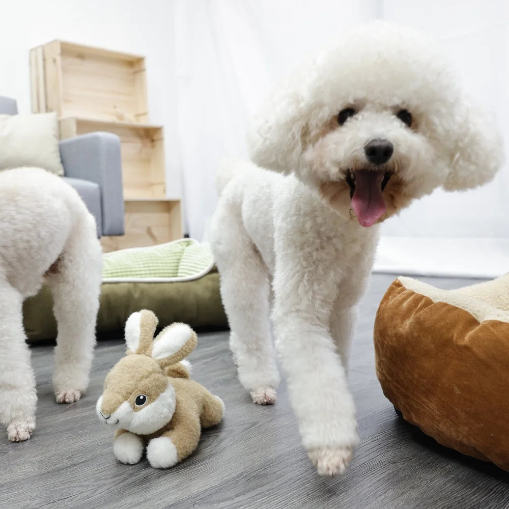 Squeaky Plush Dog Toy Bunny 8.25in