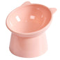 Tilted Food Bowl- Elevated Raised Dog Bowl Non Slip