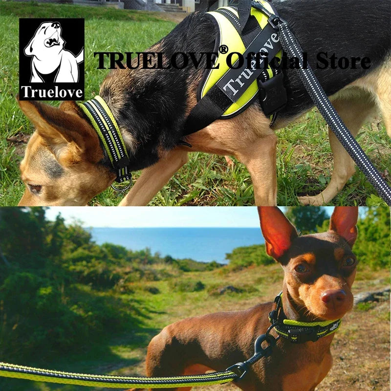 Dog Collar Nylon Adjustable