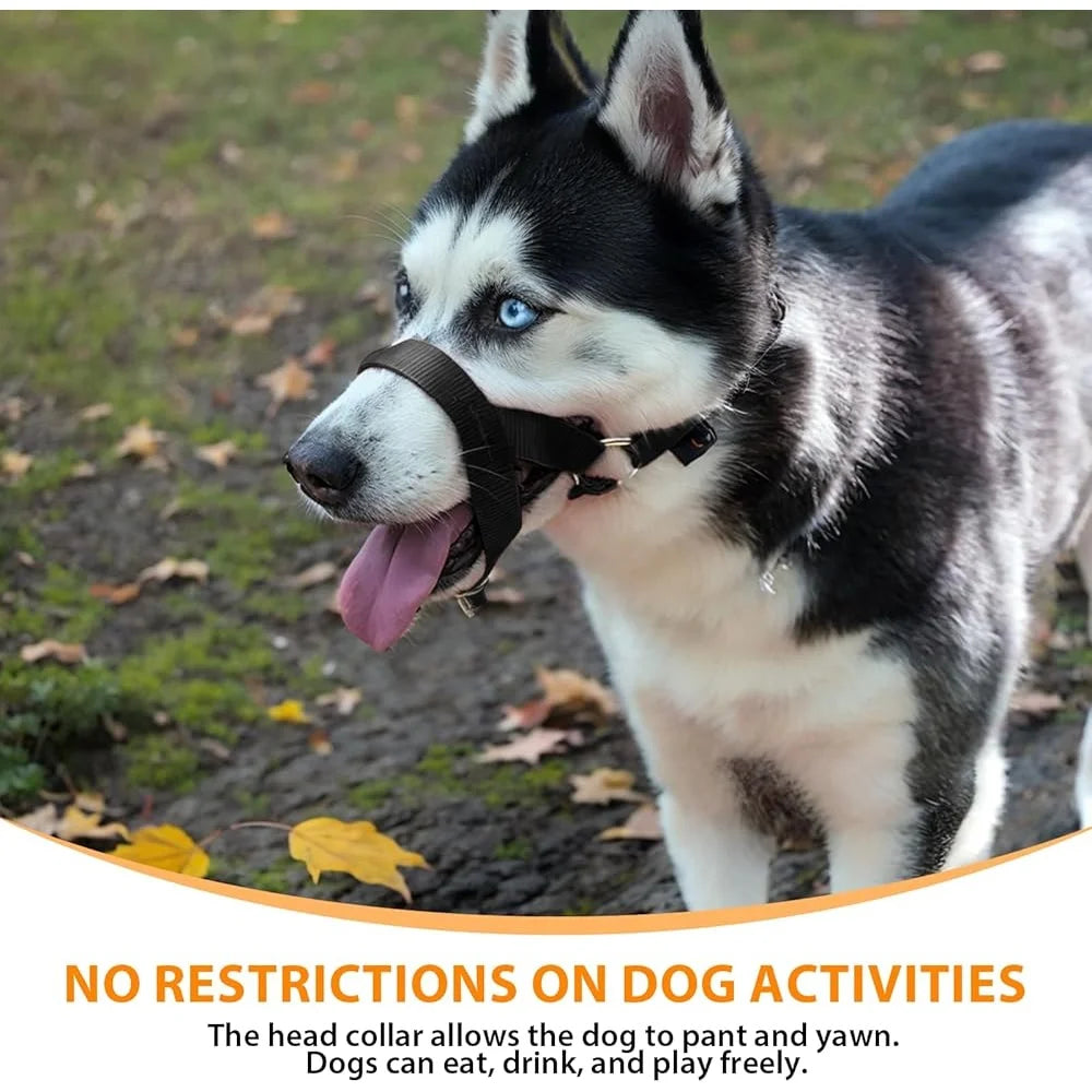 No Pull Dog Head Collar Training Harness