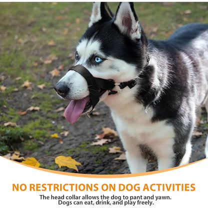 No Pull Dog Head Collar Training Harness