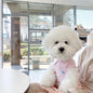 Summer Polo T-Shirt Dog Clothes