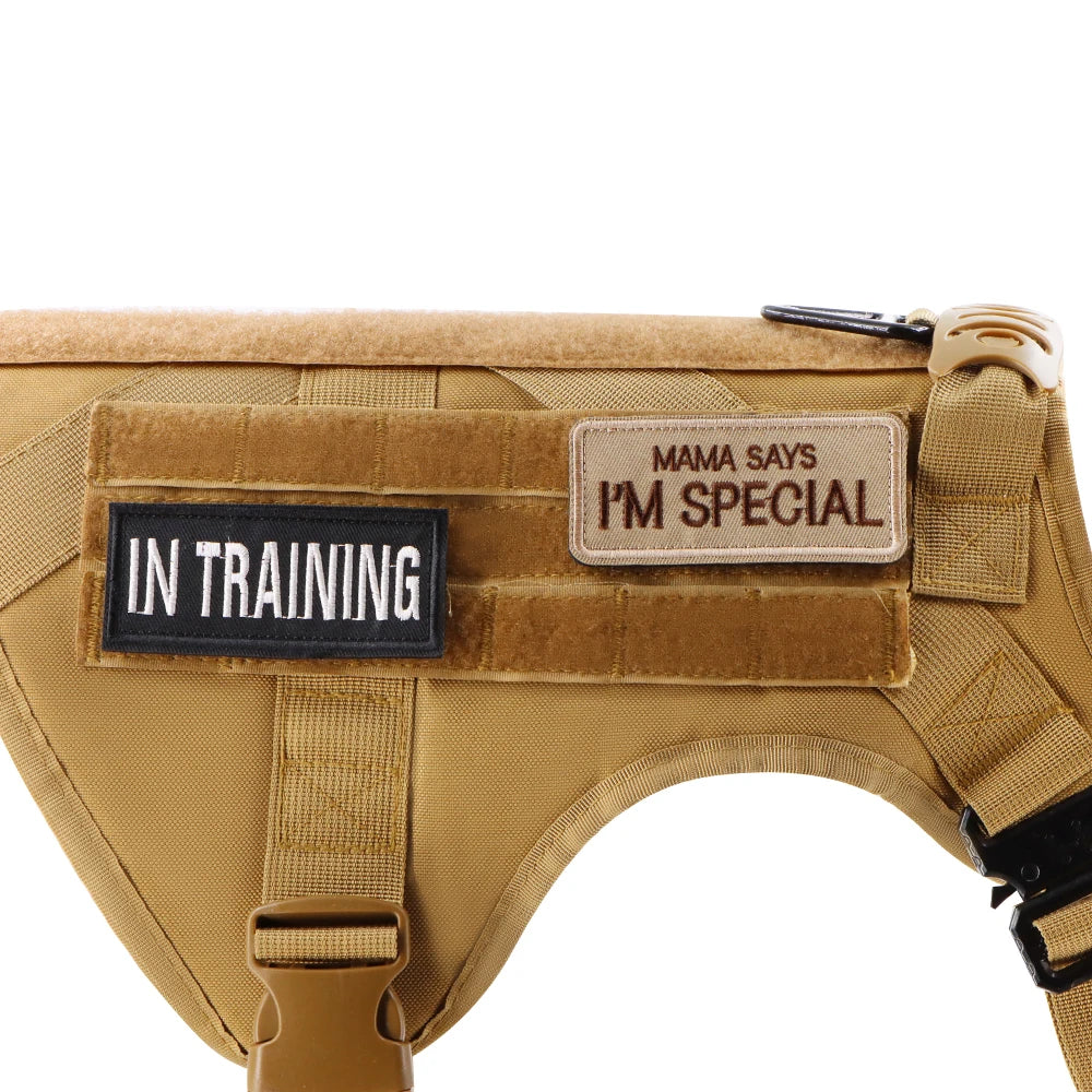12 Pieces Tactical Patch Bundle