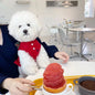 Summer Polo T-Shirt Dog Clothes