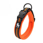 Padded Dog Walking Collar