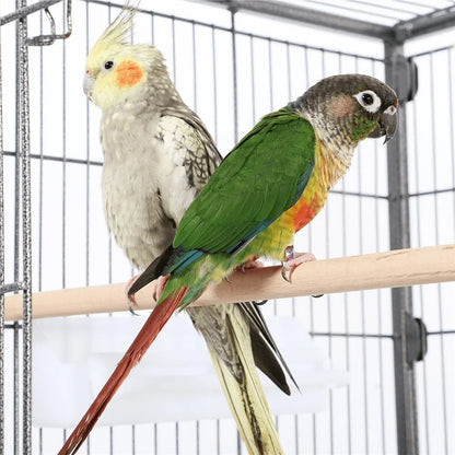 52inch Heavy Duty Bird Cage