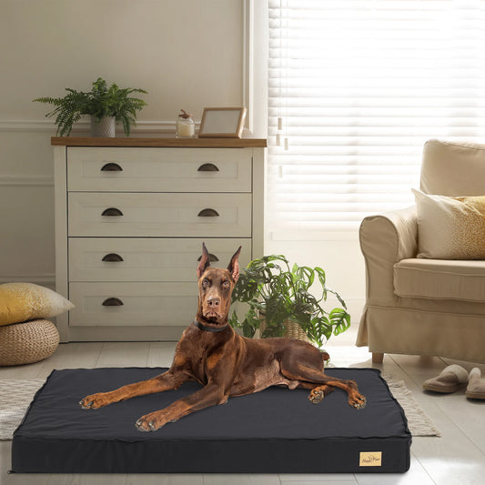 Orthopedic Dog Beds for Large Dogs