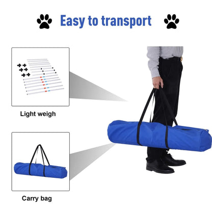 Dog Outdoor Exercise Training Set