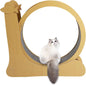 Kitten Running Wheel Treadmill