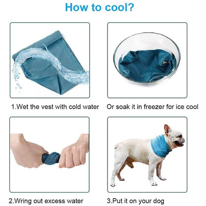 Reusable Instant Cooling Bandana with Leash Hole