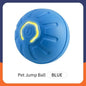 Electronic Interactive Smart Ball Dog Toy