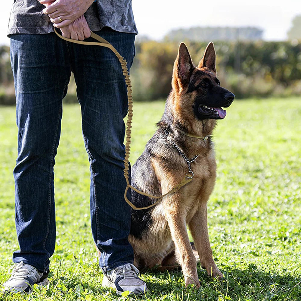 Military Adjustable Leash Quick Release
