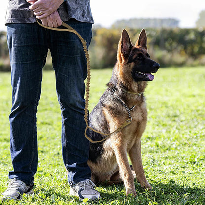 Military Adjustable Leash Quick Release